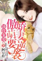 爱得起简谱