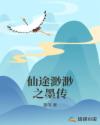 奢侈折火一夏小说