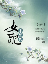 王子的骑士txt