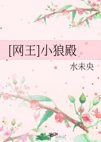 独家占有 丁墨