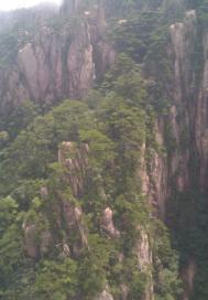 黄霓