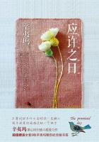 女奥特曼h