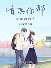 穿越人民的名义当大官小说