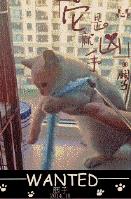 美女什么也不穿