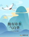 小黄花必看开车软件