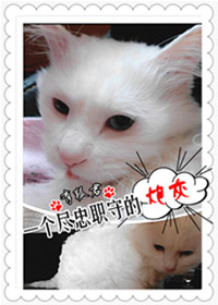 洪欣老公