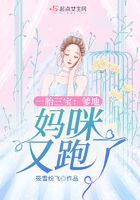 陆轻歌厉憬珩