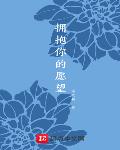 dpmi系列