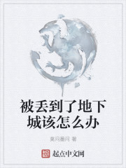 金瓶风月国语