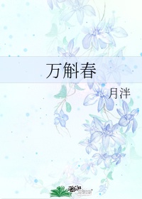 三龙一凤免费阅读