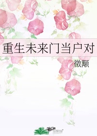 9527电影