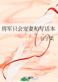 风起苍岚小说全集