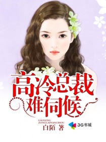 嘘魏承泽小说免费