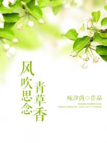 我的团长我的团无删减版