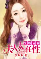 夫妻成长日记动漫
