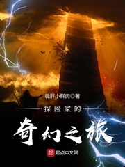 网站免费进入窗口软件2024