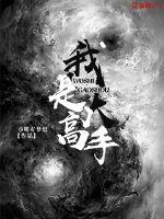 奢侈折火一夏小说