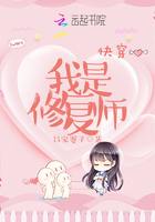 空姐一级毛片