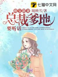 有声小说h