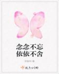 纠缠之缘