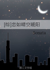 灿烂的人生