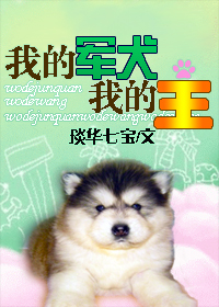 全面突袭3爆头好看吗