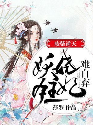 城市猎人小说