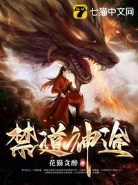 剧情番号