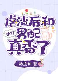 d站官网