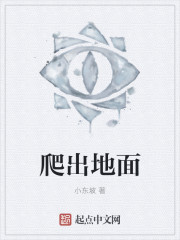 分类汇总怎么用