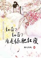 花城×谢怜液体塞东