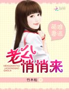 黄金瞳电视