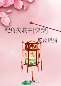 有机z在线视频播放