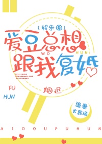 乡野欲潮百度云