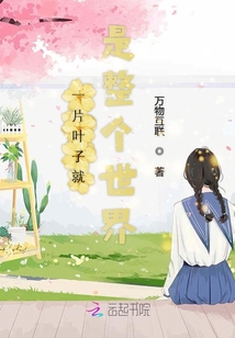 卡盟下载