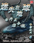 侠岚图片