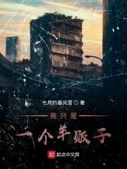 外室白莲手册