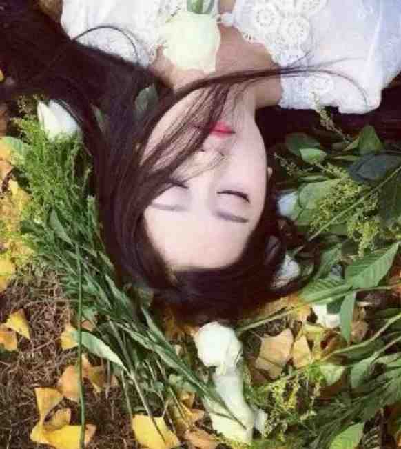 桃花朵朵开h全文阅读