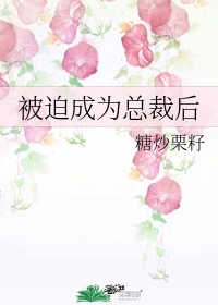 黑灯舞厅的站炮心得