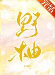 天天视频色版在线观看