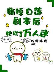 穿越海贼王的小说