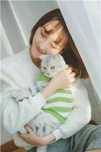 www.tokyo-hot.com