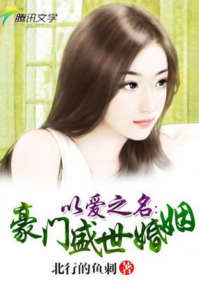 大宋提刑官第二部