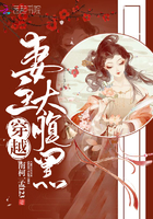 岳飞后传单田芳评书