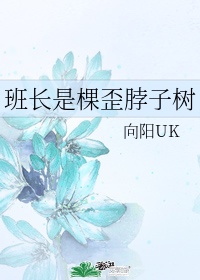 中国惊奇先生百度云