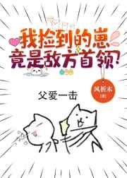 狂飙手机免费观看