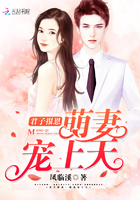 绝世无双至尊小狂妻