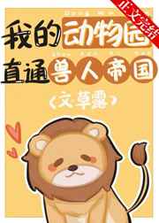 偷上姐夫小说