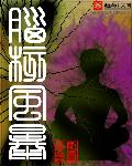 车管所上班时间