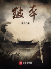 隐秘的访问者